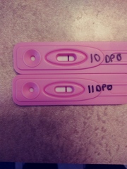 6 months TTC