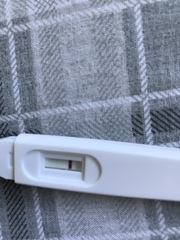 Line eyes please !! Pregnancy tests