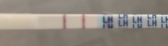 Help! When could I have ovulated?