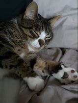 Toe bean thread anyone?