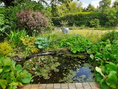 Show me your garden ponds large and small please!