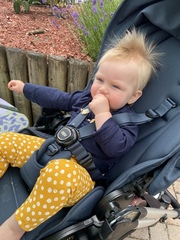 The Lockdown Saving and Spending Continues! May Frugaleers continued