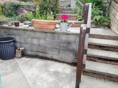 Suggestions for an ugly, shady spot?