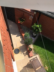 Anyone good at feeding garden birds?