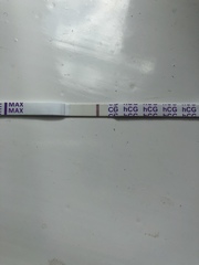 Anyone used these tests?