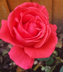 The 'old' lady style and beauty thread