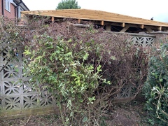 Gardener has wrecked the garden!