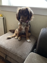 Outfit of the Day Thread - still shopping our wardrobes