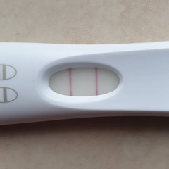 Feb babies 2021