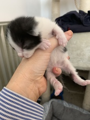 To cheer you up on this miserable wet day