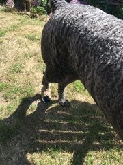 Outfit of the Day Thread - still shopping our wardrobes