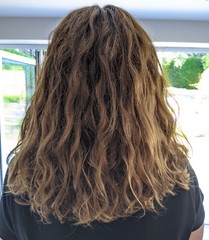 ➿ Fantastic Haircare: Making Sense and Science of the Curly Girl Method