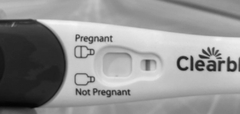TTC after miscarriage