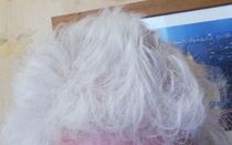 DD Shaved Her Head