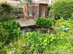 Show me your garden ponds large and small please!