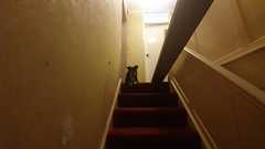Just had my house painted and I hate it