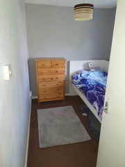 Delux chic shadow or goose down