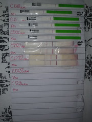 OPK- please help