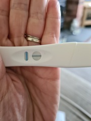 Help...advice needed.