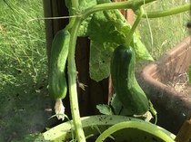 Final Week of Low Carb Bootcamp ... or is it?!