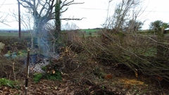 Gardener has wrecked the garden!