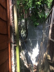 Neighbours leylandii trees damaging our retaining wall.