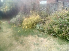 Gardener has wrecked the garden!