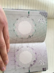 to be mildly amused by people complaining about the colour of the new passport