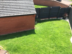 Anyone good at feeding garden birds?