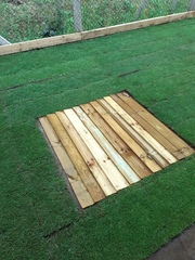 New lawn, yellow turf...