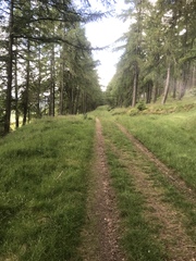 Running Thread number 15