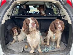 Outfit of the Day Thread - still shopping our wardrobes