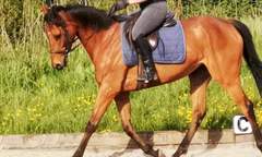 Outfit of the Day Thread - still shopping our wardrobes