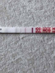 EWCM after Miscarriage - TMI post