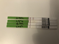 Ovulation Strip  - positive? Picture inc