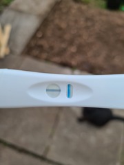 Help...advice needed.