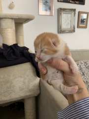 To cheer you up on this miserable wet day