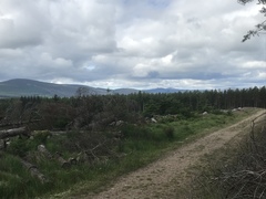 Running Thread number 15