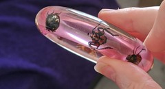 Outfit of the Day Thread - still shopping our wardrobes