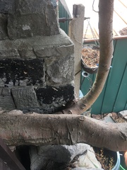 Neighbours leylandii trees damaging our retaining wall.
