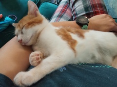 Lockdown (almost) over and frugalling continues!