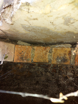 Found hole in garden