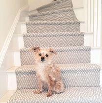 Paint or carpet stairs to sell?