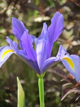 Any Witches Here? Part 11