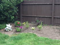 What would you plant in a raised flower bed?