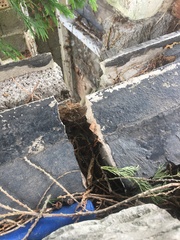 Neighbours leylandii trees damaging our retaining wall.