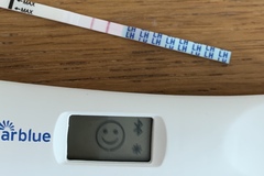Help! When could I have ovulated?