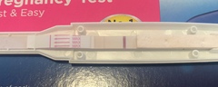 Ebonyatkins1 pregnancy