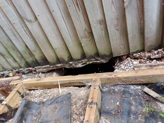 Found hole in garden