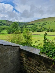 To escape to the country?